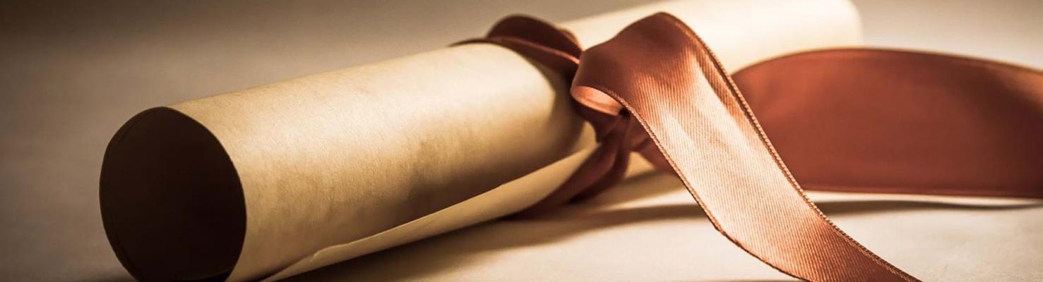 Благодарность Ларичеву Михаилу Олеговичу