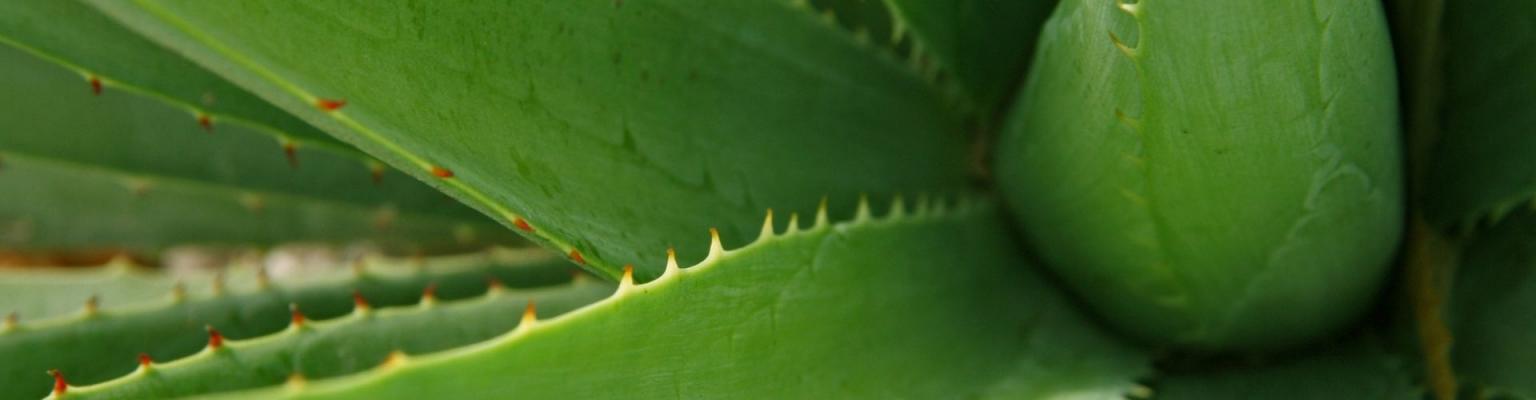 Новая линия средств по уходу за кожей