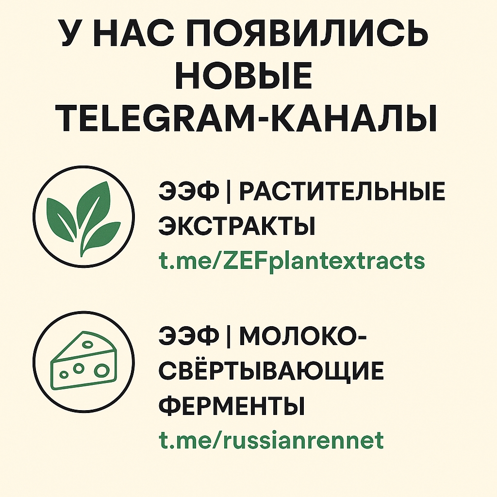 телеграм каналы ЗЭФ