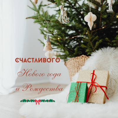 С наступающим Новым годом и Рождеством !