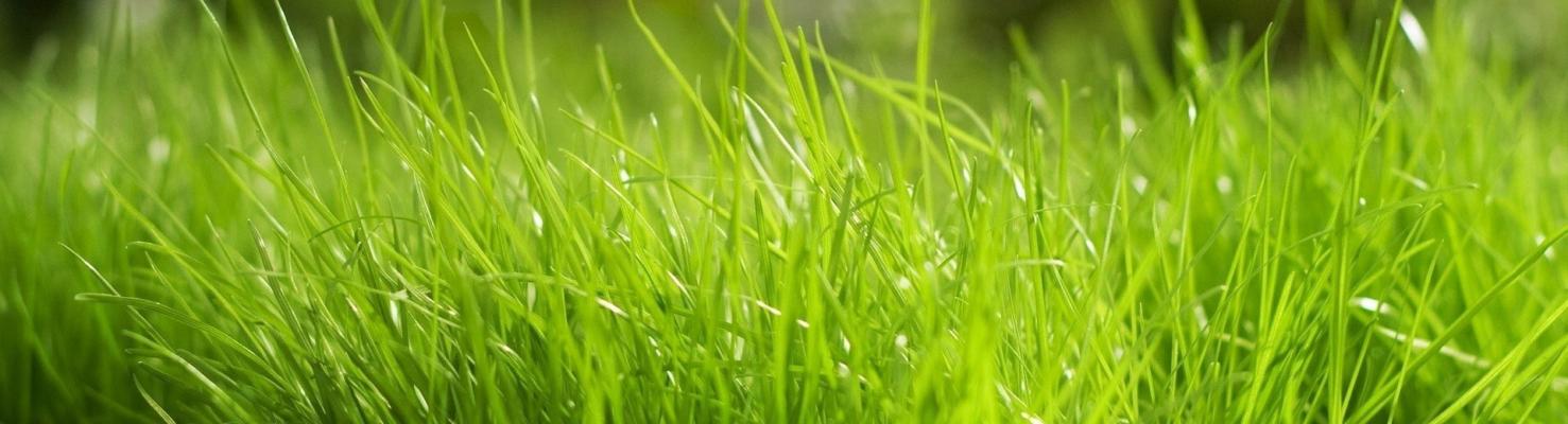 III Всероссийская специализированная выставка молочного козоводства