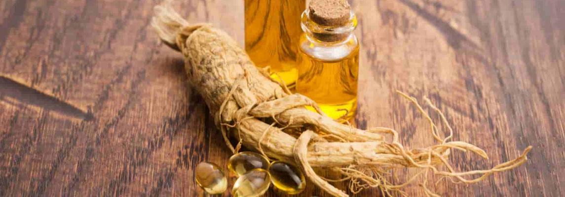 Женьшень – уникальное растение